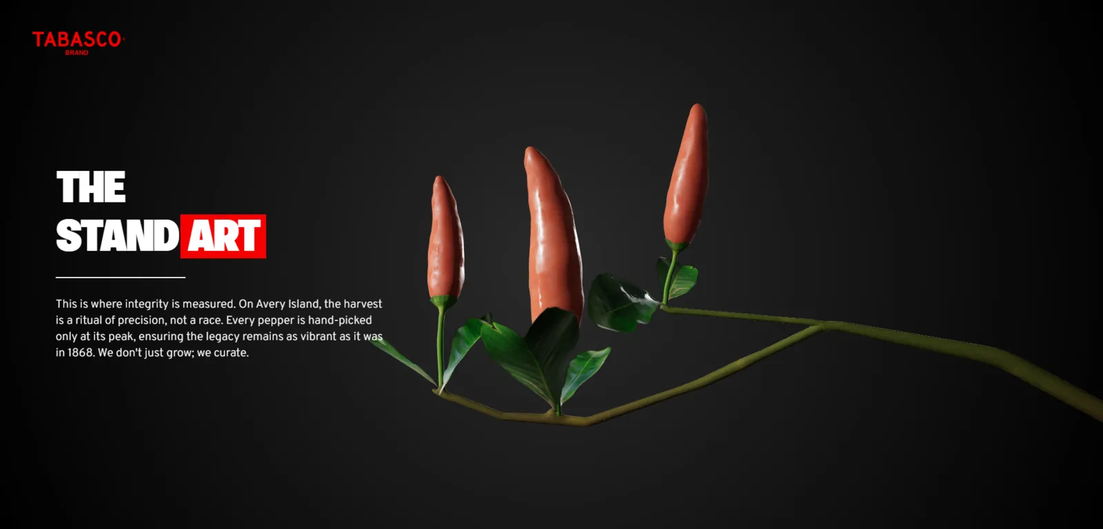 Web de producto — imagen 2